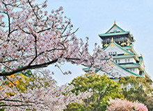 半岛体育下载-恩里克解疑复辟西班牙队：莫雷诺野心太大，不忠诚